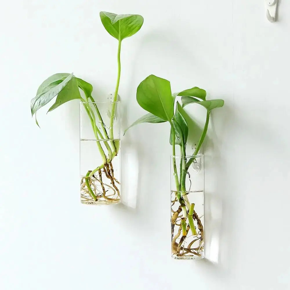 Vase en Verre Hydroponique Murale Home and Kitchen