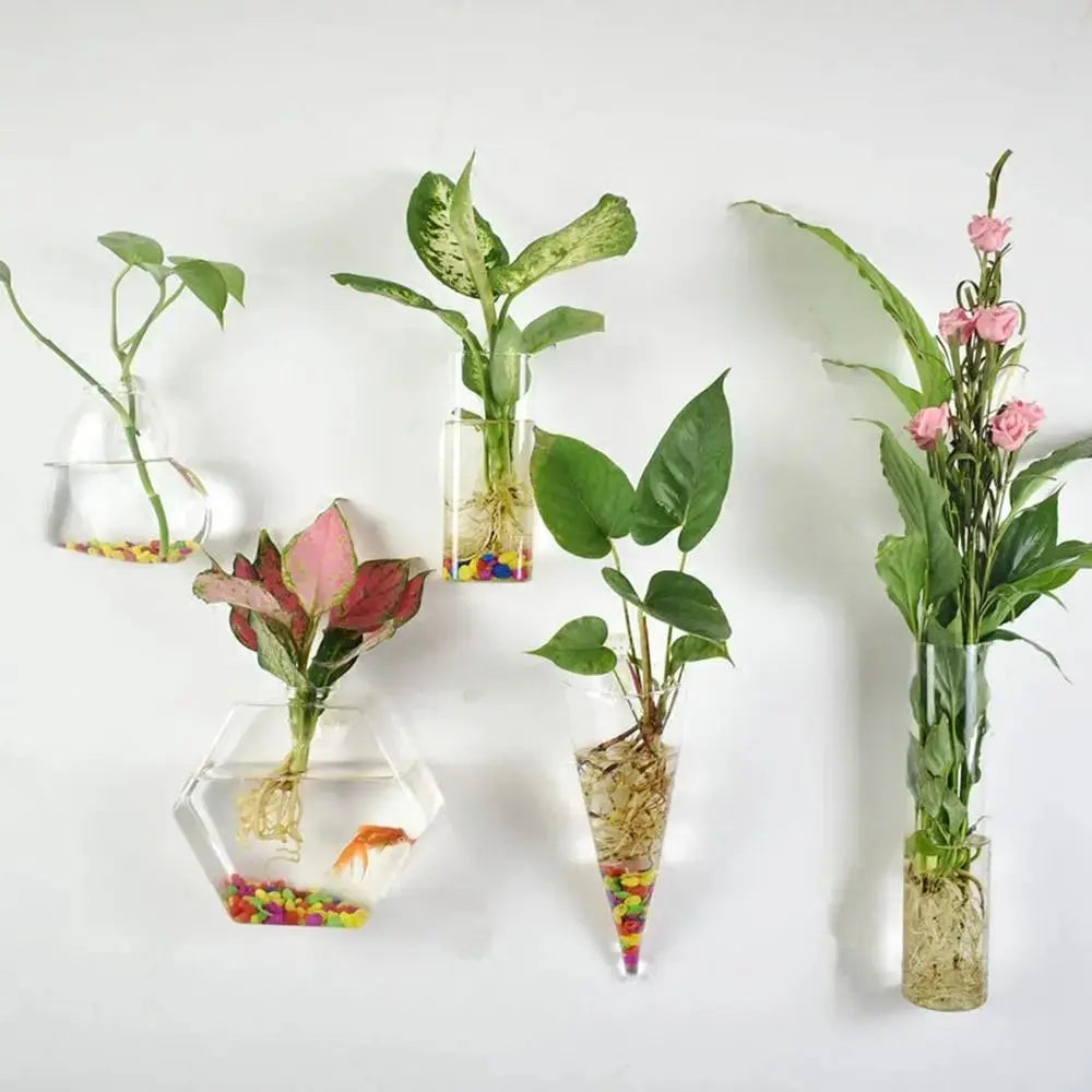 Vase en Verre Hydroponique Murale Home and Kitchen