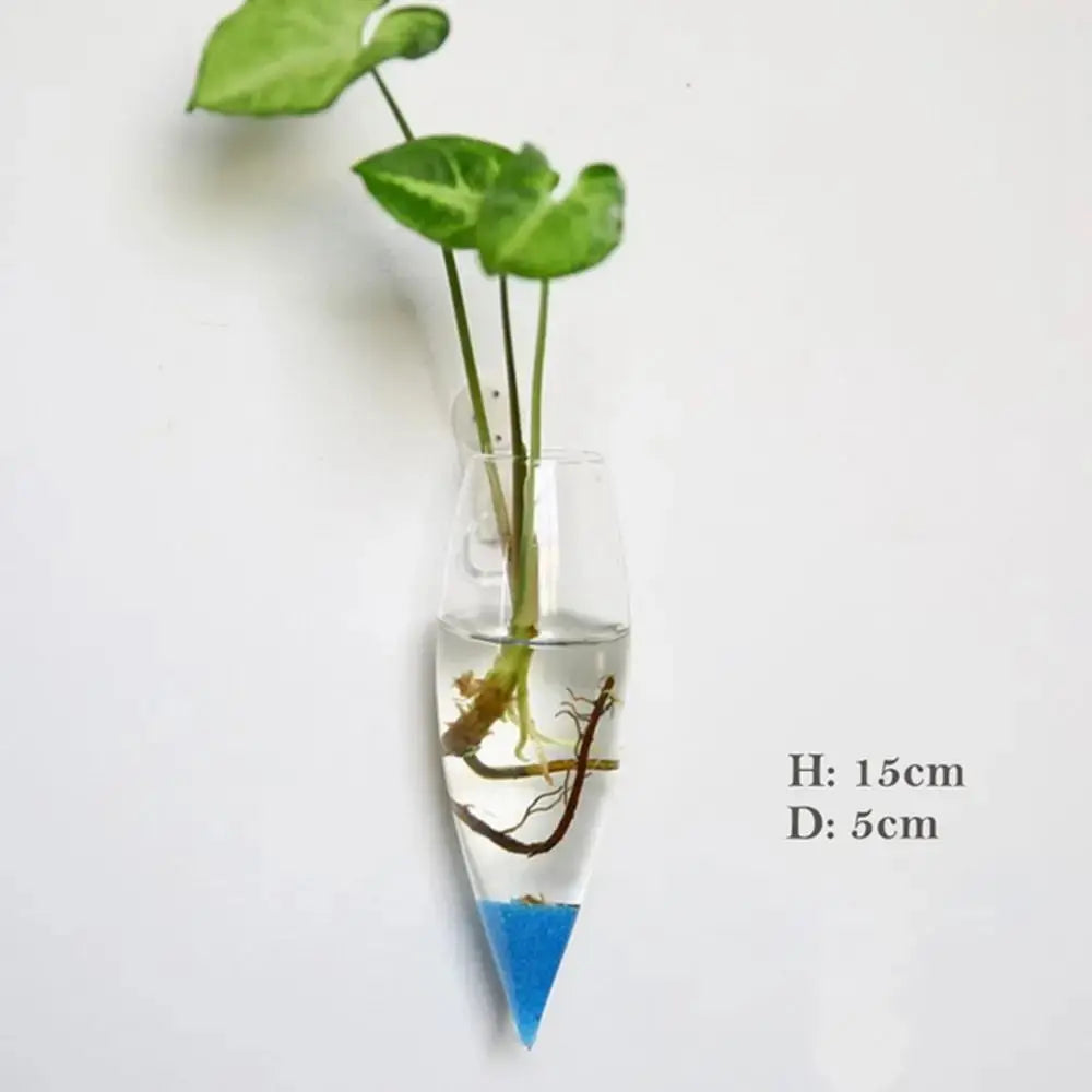 Vase en Verre Hydroponique Murale Home and Kitchen