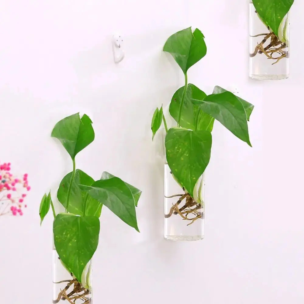 Vase en Verre Hydroponique Murale Home and Kitchen