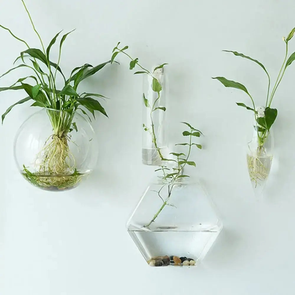 Vase en Verre Hydroponique Murale Home and Kitchen