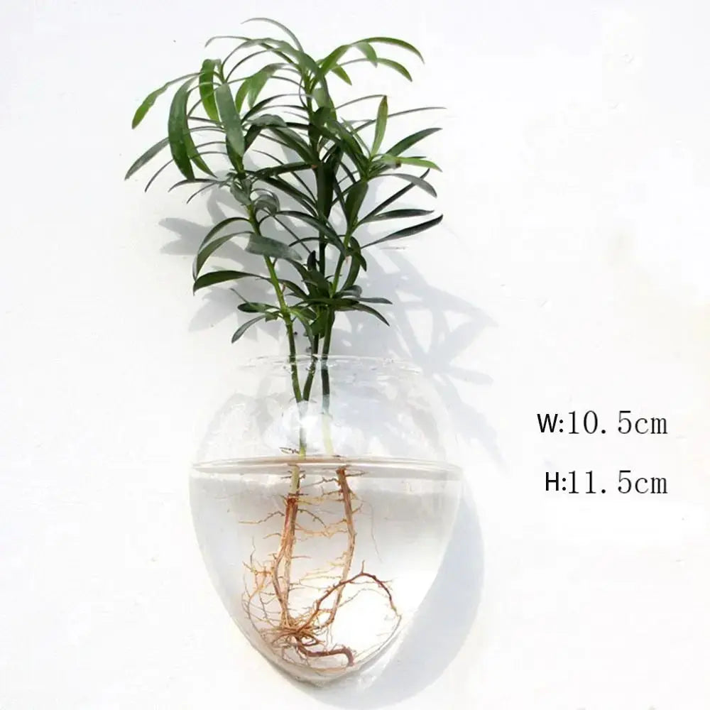 Vase en Verre Hydroponique Murale Home and Kitchen