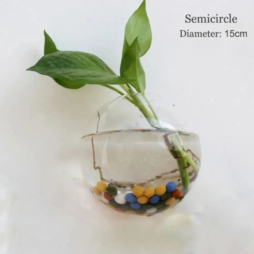 Vase en Verre Hydroponique Murale Home and Kitchen