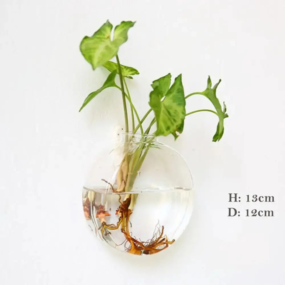 Vase en Verre Hydroponique Murale Home and Kitchen