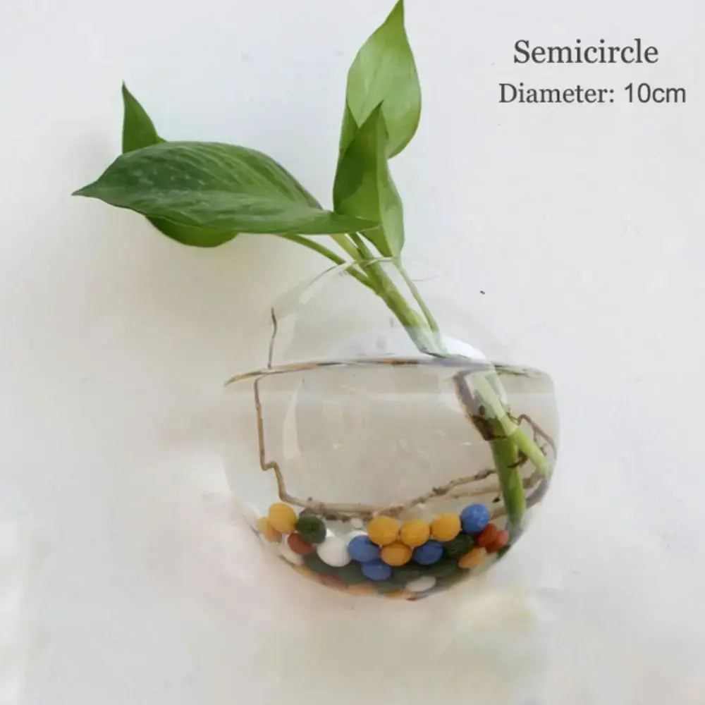 Vase en Verre Hydroponique Murale Home and Kitchen