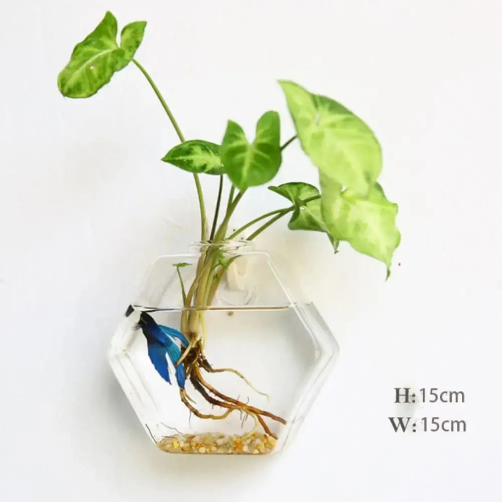 Vase en Verre Hydroponique Murale Home and Kitchen