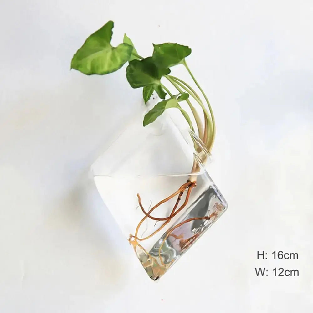Vase en Verre Hydroponique Murale Home and Kitchen