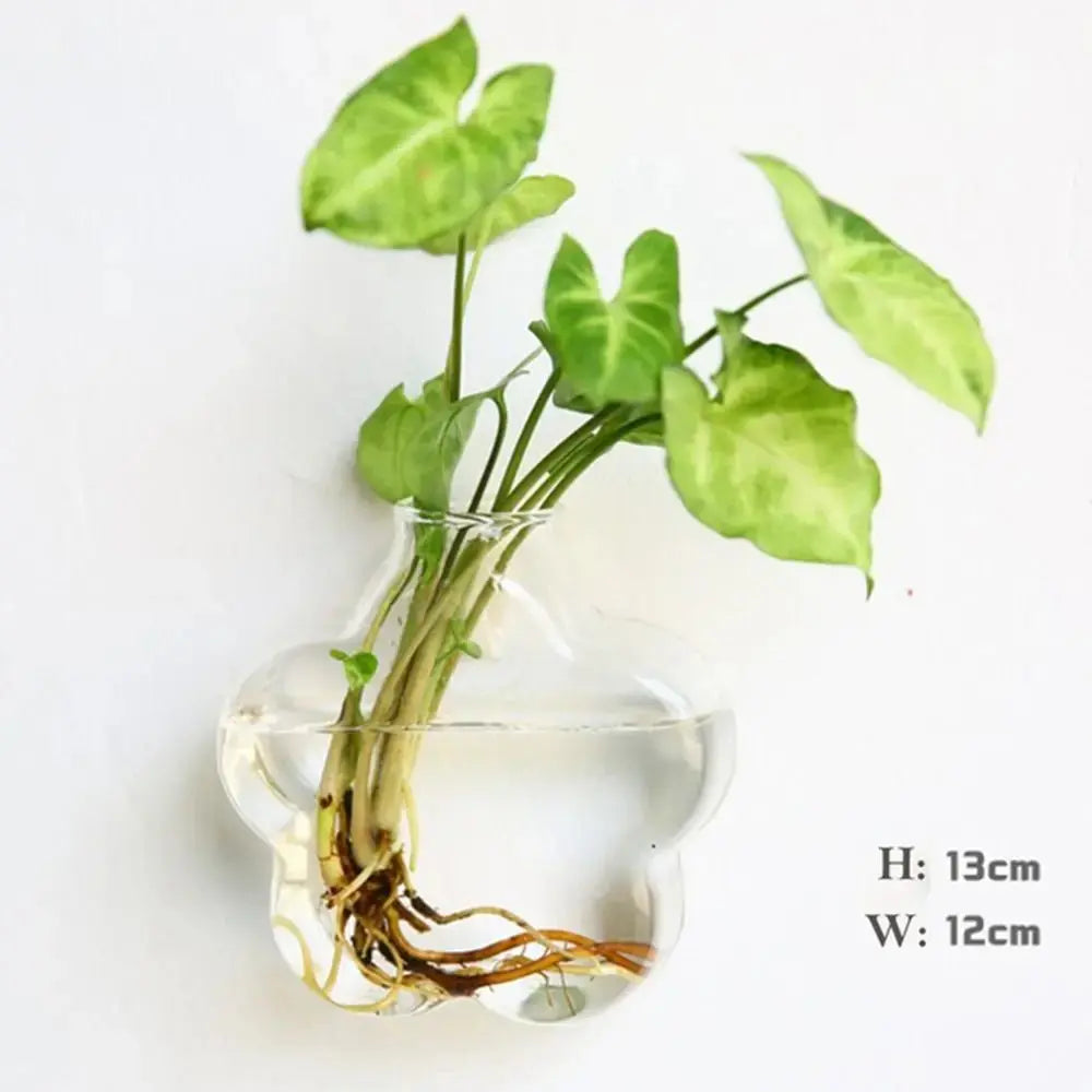 Vase en Verre Hydroponique Murale Home and Kitchen